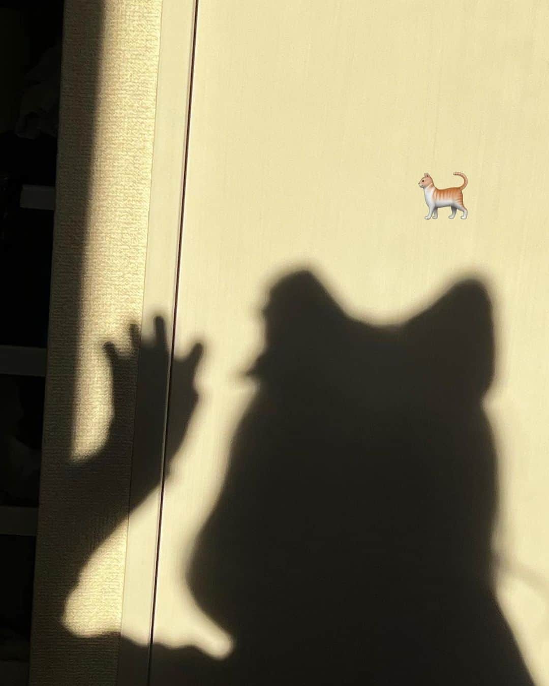 堀江聖夏さんのインスタグラム写真 - (堀江聖夏Instagram)「⌇ 2月22日は猫の日らしいです🐈♡ ⁡ ⁡ ⁡ _______________________ #しかもスーパー猫の日 #だけど猫アレルギー #でも猫好き」2月22日 16時17分 - mina_horie