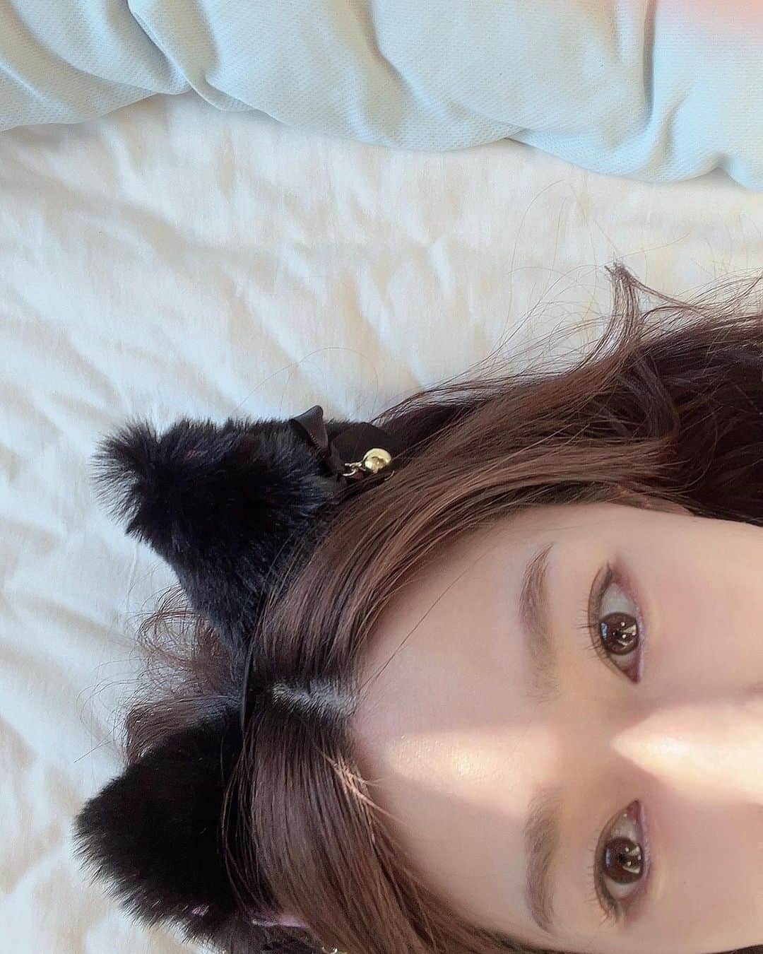 のインスタグラム：「⌇ 2月22日は猫の日らしいです🐈♡ ⁡ ⁡ ⁡ _______________________ #しかもスーパー猫の日 #だけど猫アレルギー #でも猫好き」