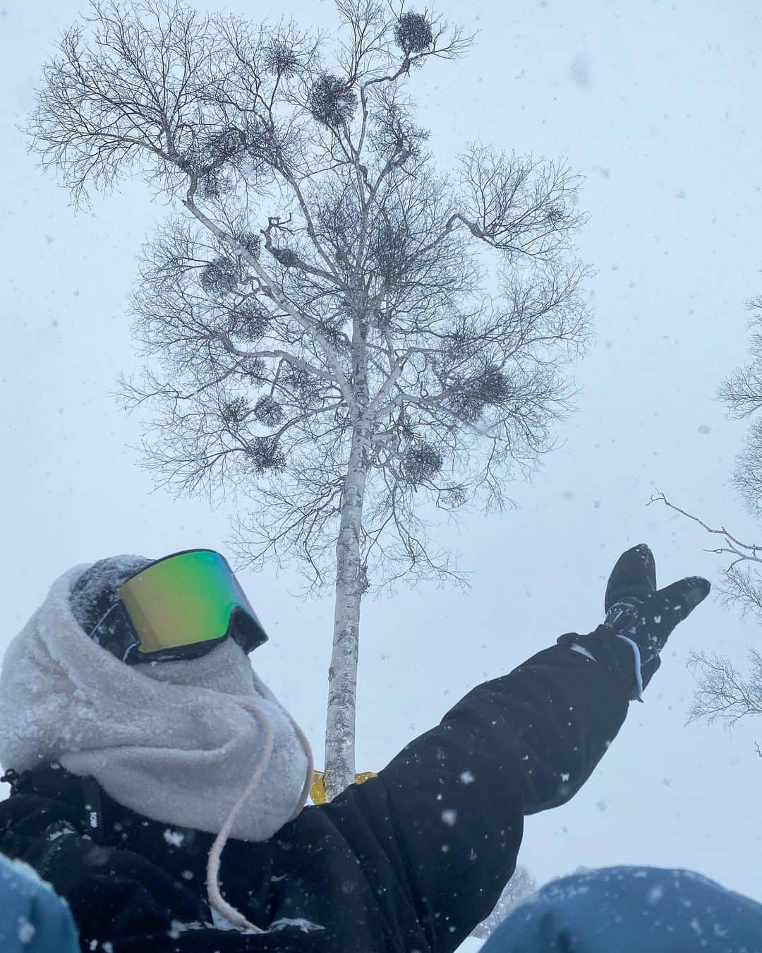 伊藤愛真さんのインスタグラム写真 - (伊藤愛真Instagram)「テーマ:スノーボーダーぽい写真 宝台樹スキー場のパウダーが 最高すぎた❤︎ 東京帰ってきて雪がないのが 本当不思議に思うくらいすごかった😂 . スノボずっとしてたい！」2月22日 16時34分 - __emagram