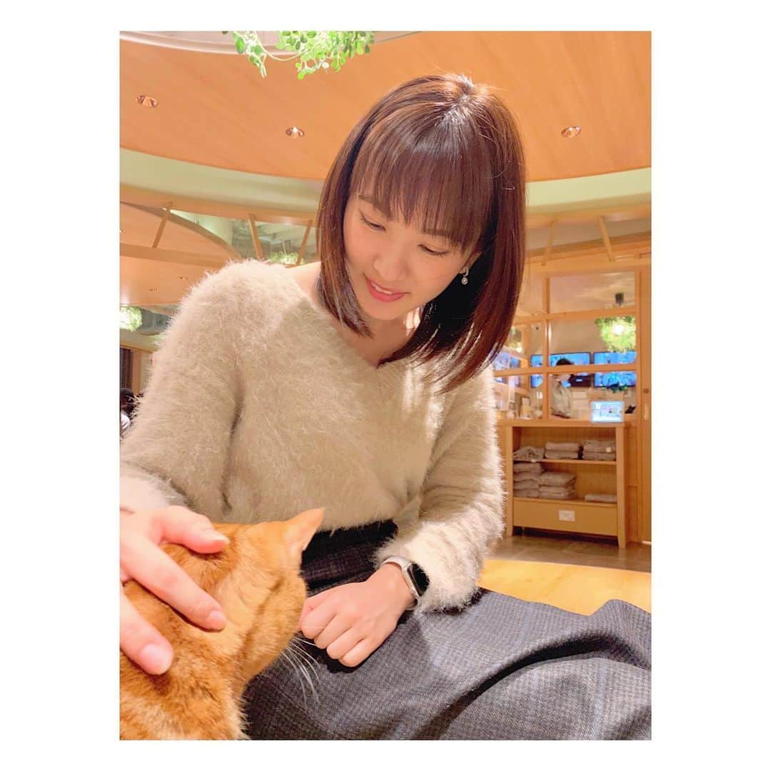 河出奈都美のインスタグラム：「. にゃんにゃんにゃんの #スーパー猫の日 🐈  だいぶ前に人生初の猫カフェに 行ったときの写真ですが  控えめに言って最高でしたよね🤤 ずっと犬を飼ってきて、断然犬派だと思っていたのに この時ばかりは心が傾きました…！！ｸｯ  このミルクティー色のねこちゃんが すごくなついてくれて、癒されました🥰  #にゃんにゃんにゃんの日 #2022年2月22日 の #22時22分22秒 に #投稿できたはず！ #猫の日 #ねこ #猫カフェ  #日本テレビ #アナウンサー #河出奈都美」