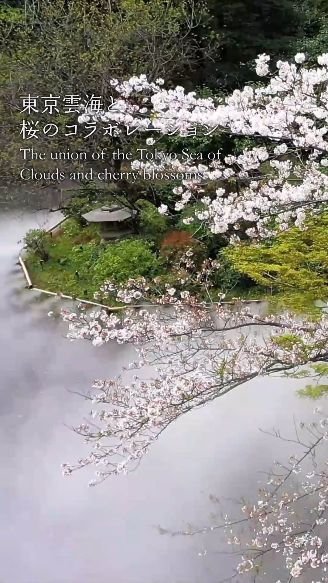 ホテル椿山荘東京のインスタグラム
