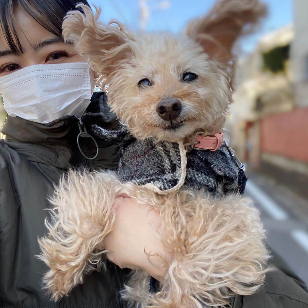 夏焼雅のインスタグラム：「🐰⁇💕💭 ぴょょょょょ〜〜〜ん💓 @peace.happy.peace」