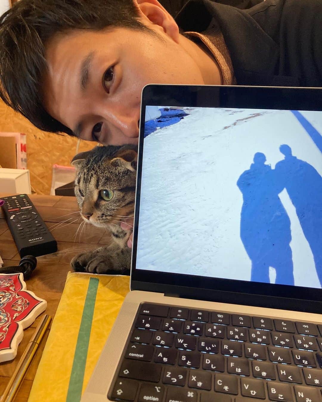 半田悠人さんのインスタグラム写真 - (半田悠人Instagram)「コロナと猫と妻と2年。 スーパー猫の日って何！w #20220222 #もふもふ#今日はおやすみ」2月22日 17時33分 - yutohanda