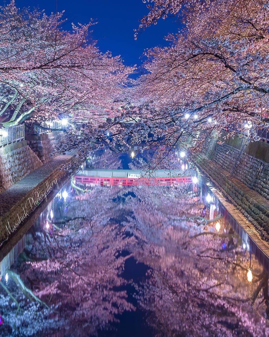 楽天トラベル のグルメインスタ