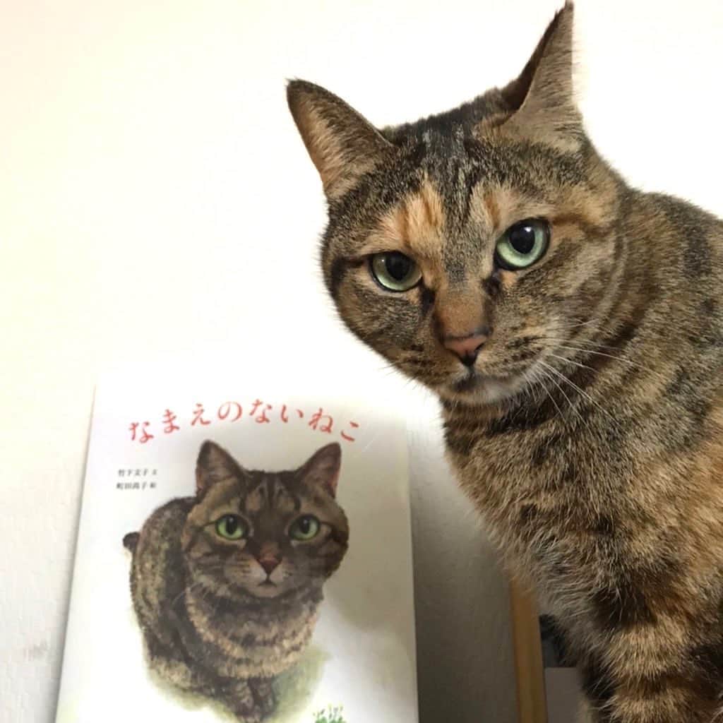 南口奈々のインスタグラム