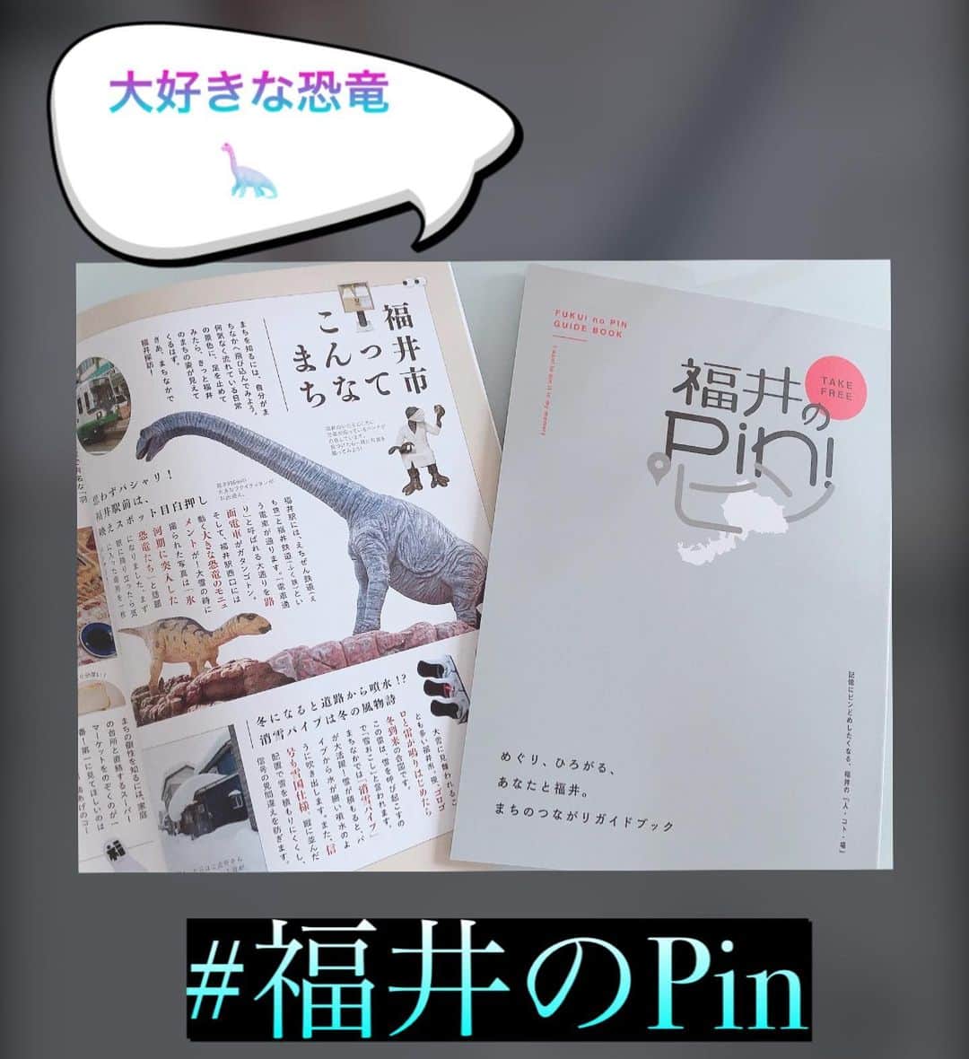 のインスタグラム：「📕✨ 福井にピンどめしたくなる 『人・コト・場』  福井市から届いた『福井のPin』✨  ちょうど良い大きさの平綴じ雑誌📖 私の大好きな大好きな恐竜🦕の記事も😍💕  つながりモチベーションページは ①②④が当てはまり  『何ページへススム』  と書いてあるから占いの様ですごく見やすい☝🏻☺️  スタッフさんが出身地も在住もバラバラなので 偏ることなく内外からの色々な視点で見ることで 魅力ある雑誌になったんだろうな〜  と勝手に想像🥰（笑）  恐竜だけでなく福井に行きたくなりました🚄🚅💓  福井県の温泉にも入りたいなぁ♨️  📍#福井のPin  で検索したらいっぱい出てきたので、福井県のオススメ知ってる方は教えて下さ〜い😋♨️  #福井のPin #福井市 #福いいネ @fukui_no_pin https://makef.jp/pin/   #福井  #福井県  #日本  #地方創生    #吉山りさ #一人旅 #一人旅行  #一人旅女子  #フリーモデル #フリーランス #旅行  #旅行大好き  #温泉女子 #温泉  #温泉大好き」