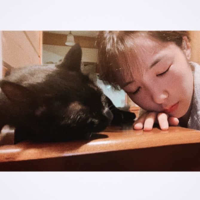 落合萌のインスタグラム：「#猫の日 だそうで🐈‍⬛」