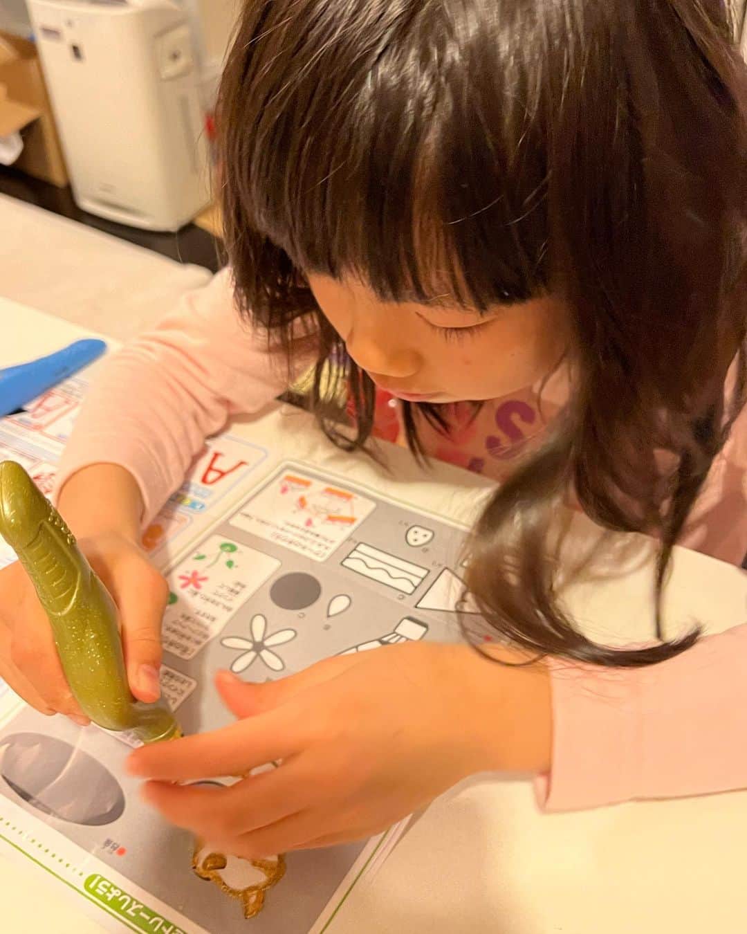 甘糟記子のインスタグラム