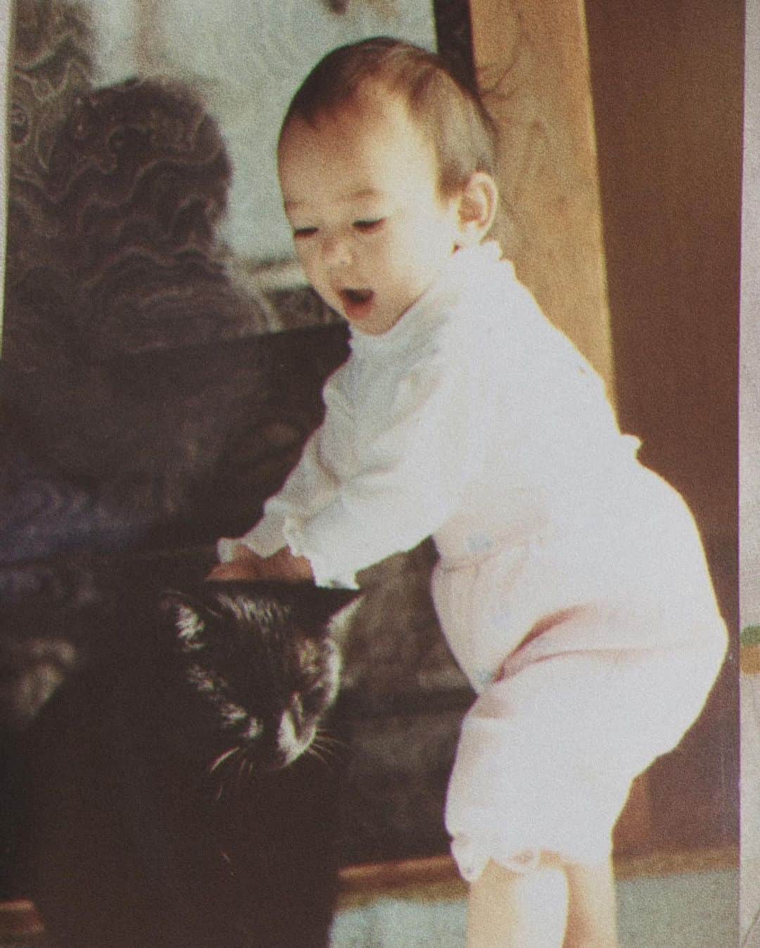 ダーブロウ有紗さんのインスタグラム写真 - (ダーブロウ有紗Instagram)「こんなに小さかった君たち。 大きくなったね。 私たち人間も大きくなったもんだ。 猫と生きる人生。 すき。  #猫の日 #滑り込みセーフ #4枚目は私です」2月22日 22時45分 - alisadurbrow