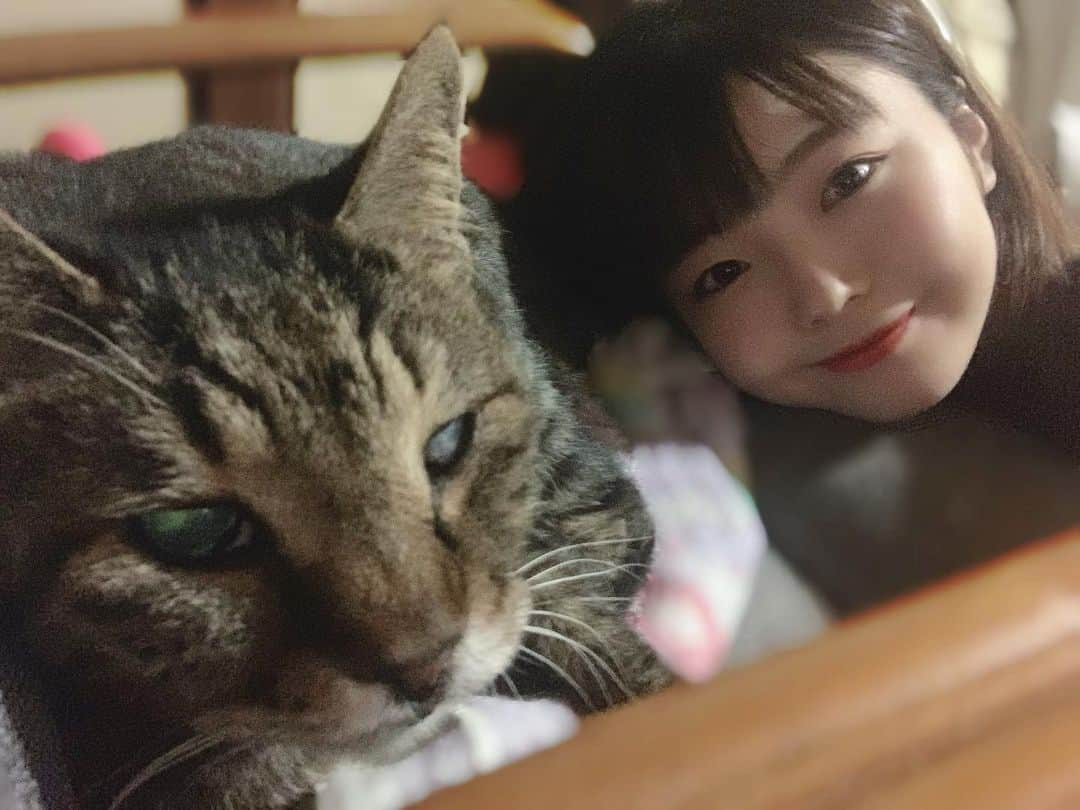 小原一華さんのインスタグラム写真 - (小原一華Instagram)「🐈♫ . にゃんにゃんねこっ！ にゃーんにゃん、ねこねこっ！！ . #ねこすたぐらむ #猫の日 #スーパーねこの日 #20220222 #22222」2月22日 23時17分 - ohara_ichika