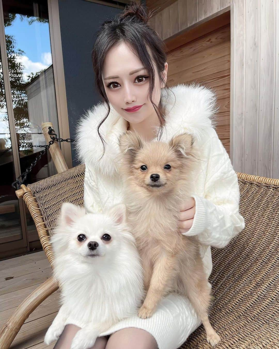 本多胡桃のインスタグラム：「スーパー猫の日🐈💕  ですが我が家のわんこたちと🐶❤️ 犬と行ける宿おすすめあったら教えてください🥰  #onepiece @valmuer_official   #温泉#温泉旅行#淡路島#島花#海のホテル島花#部屋風呂#ポメラニアン部#ポメラニアンが世界一かわいい#ことたび#ヴェルムーア#ことこーで」