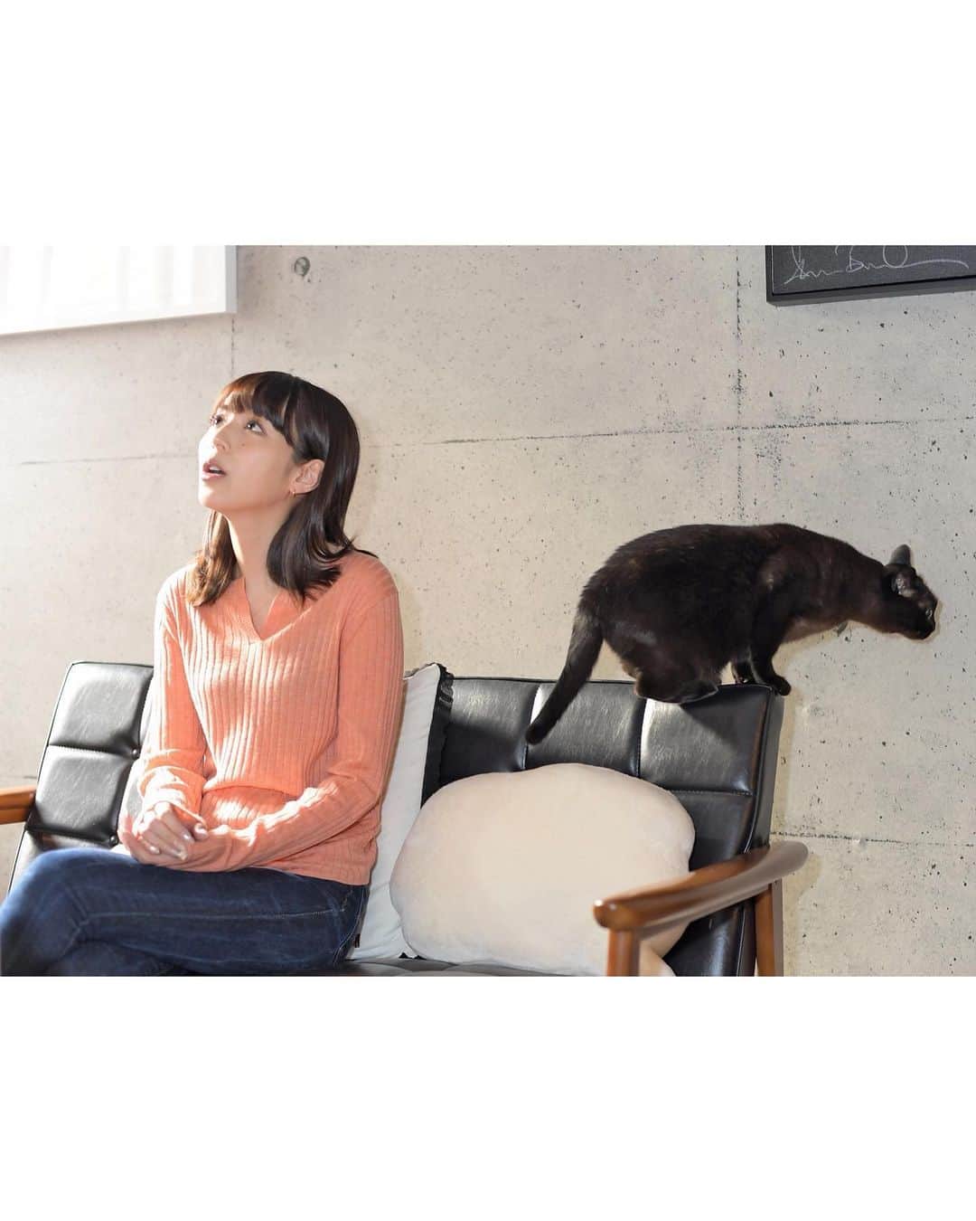 平野綾さんのインスタグラム写真 - (平野綾Instagram)「#猫の日  だったので、 ⁡ 《週刊現代》 "人生の相棒" 第529回に、 道長・沙羅とのインタビューを掲載していただいた時のアザーカットとオフショットです。 素敵な写真をたくさんありがとうございました！ ⁡ ⁡ 10年なんてあっという間。 一緒にいてくれてありがとう。 ⁡ ⁡ #週刊現代  #講談社 #人生の相棒 #みちしゃら #道長 #沙羅 #ayahirano #平野綾」2月23日 0時24分 - a_ya.hirano