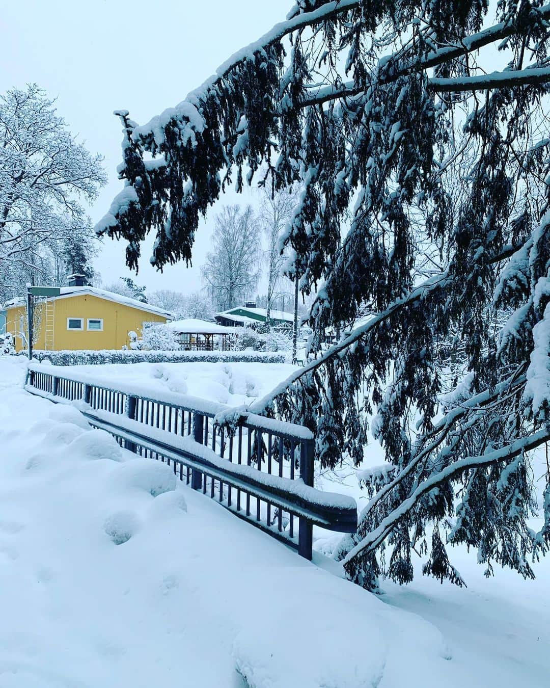 ニール・ブラウンさんのインスタグラム写真 - (ニール・ブラウンInstagram)「Nights in Finland. Nothing quite like it. 🇫🇮💙 #instamood #instapic #snow #winter #finland #nature #beauty #wonder」2月23日 1時28分 - neil_brown