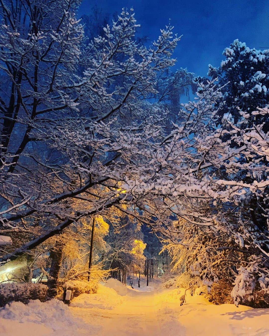 ニール・ブラウンのインスタグラム：「Nights in Finland. Nothing quite like it. 🇫🇮💙 #instamood #instapic #snow #winter #finland #nature #beauty #wonder」