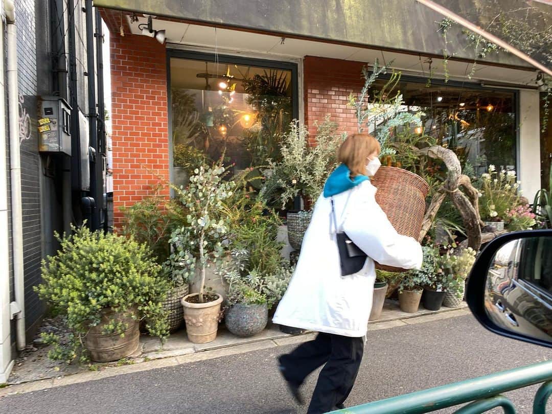 本田翼さんのインスタグラム写真 - (本田翼Instagram)「🧺 @zarahome で買ったバスケットが 思いのほか大きすぎてやっちまったな…と 思っていたのですが、ここに花を入れよう😳💐 と思い立ち @irotoiro_ へ🏃‍♂️ このバスケットに花詰め込んで下さい。家はベージュ系です。 という突然かつ無茶な要求に応えて下さり すんごく素敵に仕上げてくれました。 ありがとうございます！ インテリアのご参考までに☺️ ちなみにドライフラワーです！ #インテリア #海外サイズには気をつけよう」2月23日 16時56分 - tsubasa_0627official