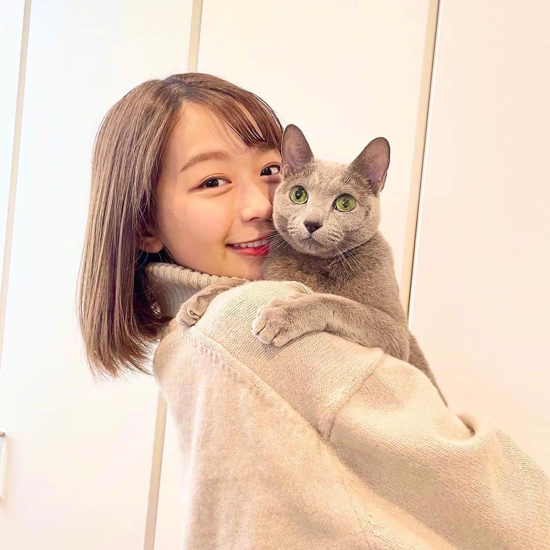 フジテレビアナウンサーのインスタグラム：「. 小室瑛莉子です。 ⁡ 私の幸せ、愛猫のネオ君です！🐱 ⁡ 甘えん坊のネオ君は抱っこが大好きで、腕にすっぽりハマります。 しばらく経つとよじ登ってきて、2枚目の体勢に。 ⁡ ああ、おしりが顔に、、！ これはこれで幸せなのです😊  #フジテレビアナウンサー #小室瑛莉子 #8ッピー」