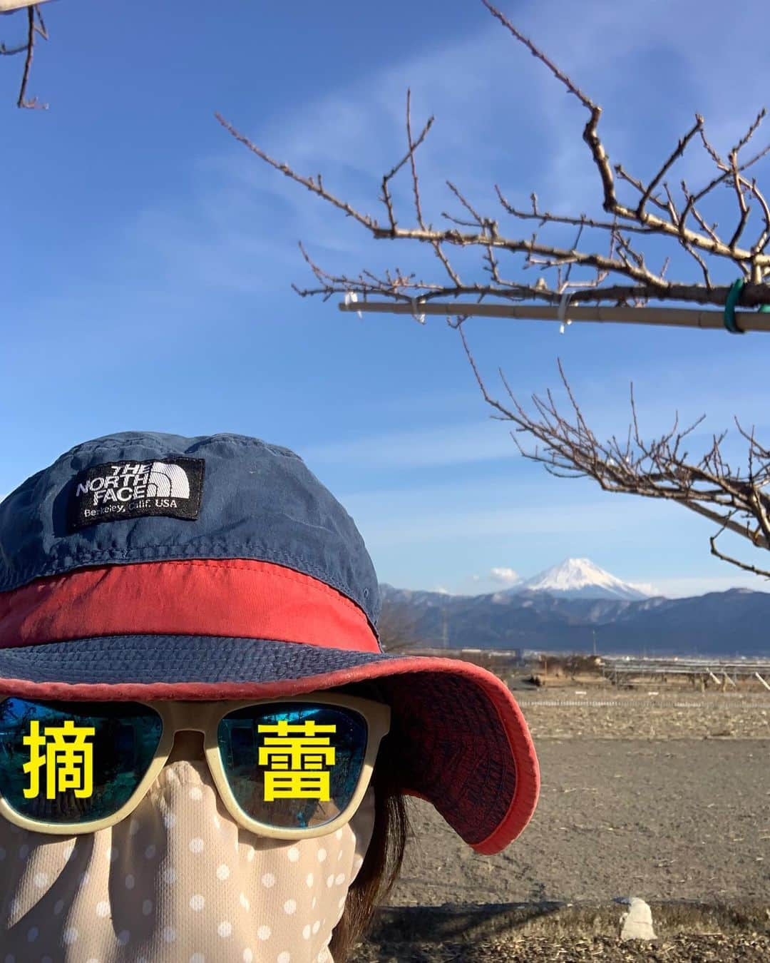 浅利そのみさんのインスタグラム写真 - (浅利そのみInstagram)「富士山の日。　  本来ならば、2年越しの『富士山の日フェスタ』の司会でした。  リアルでやるか、オンラインでやるか、、、 色々と調整して下さったけど、最終的には延期に😭 スタッフの皆さんの想いが、いつか形になりますように。  そんな今日も、富士山は私たちを見守ってくれています🗻  朝晩はまだまだ寒いですが、日中の日差しは気持ちがいい。 摘蕾日和でした。  #摘蕾 #てきらい #桃 #農作業 #南アルプス市 #いい天気 #農業女子 #やまなし農業女子 #フリーアナウンサー #浅利そのみ #やまなし大使 #富士山の日 #畑からの富士山」2月23日 19時34分 - asarisonomi