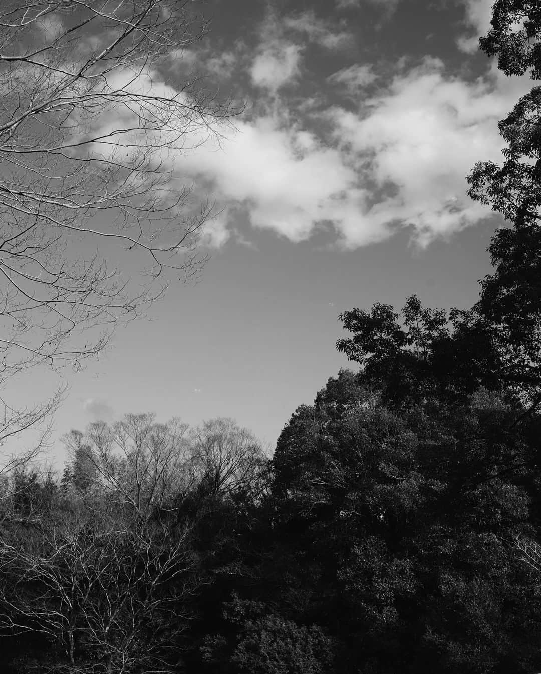 茉莉さんのインスタグラム写真 - (茉莉Instagram)「🎋⛰🌿 . . のんびり、ゆったり… 優しい木々のせせらぎを聞きながら 癒しの時間を過ごしました…🍃 . . .」2月23日 19時37分 - mari._xx