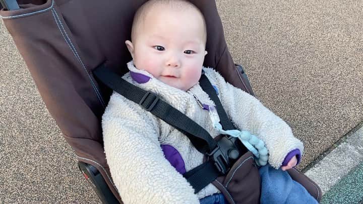 江原千鶴（エハラチヅル）のインスタグラム：「みんなが公園で遊んでるのを見てニコニコしてたよ💕 早く一緒に遊べるといいね😊」
