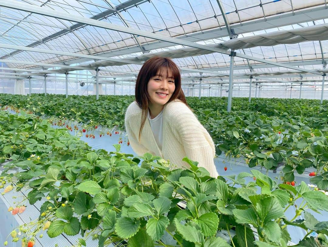 岡本杏理さんのインスタグラム写真 - (岡本杏理Instagram)「#いちご狩り 🍓♡♡」2月23日 20時57分 - anri_okamoto