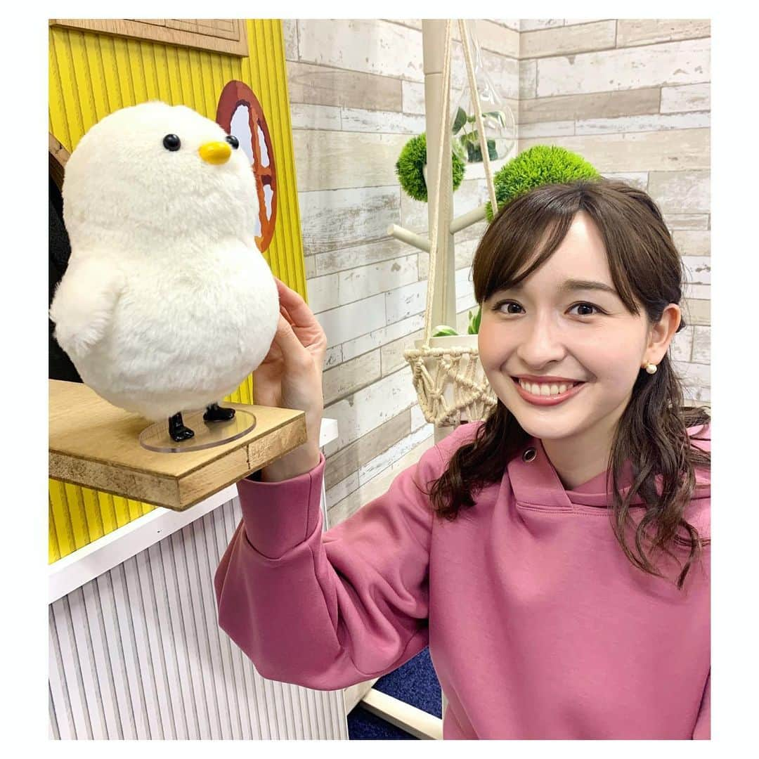 宇賀神メグさんのインスタグラム写真 - (宇賀神メグInstagram)「🐥  . .  ライブ配信に参加してくださった皆さま、 ありがとうございました！ コメントも沢山いただき嬉しかったです☺️ 時間が許せば全部ご紹介したいくらいでした…。 また機会があればインスタライブ やりたいです！  . 配信中にシマエナガちゃんを私が落としてしまうというハプニングがあり 配信後、すぐにシマエナガちゃんに謝りました。🐥  「いいよー🐥」と言ってくれましたが 少し怒ってる…？？  . . .  #メグリナらいぶ #thetime_tbs  #シマエナガちゃん #🐥 #謝罪 #放送100回記念 #仲直りの握手」2月23日 21時54分 - ugajin_megu