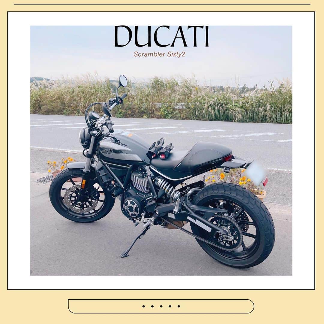 ほしのこさんのインスタグラム写真 - (ほしのこInstagram)「#ducati #ドゥカティ#ドゥカティスクランブラー #ドゥカティスクランブラーsixty2   #バイク女子  写真はいつかのものですが 今日は久しぶりにバイクに乗ってしました♡」2月23日 22時00分 - hoshinoko728