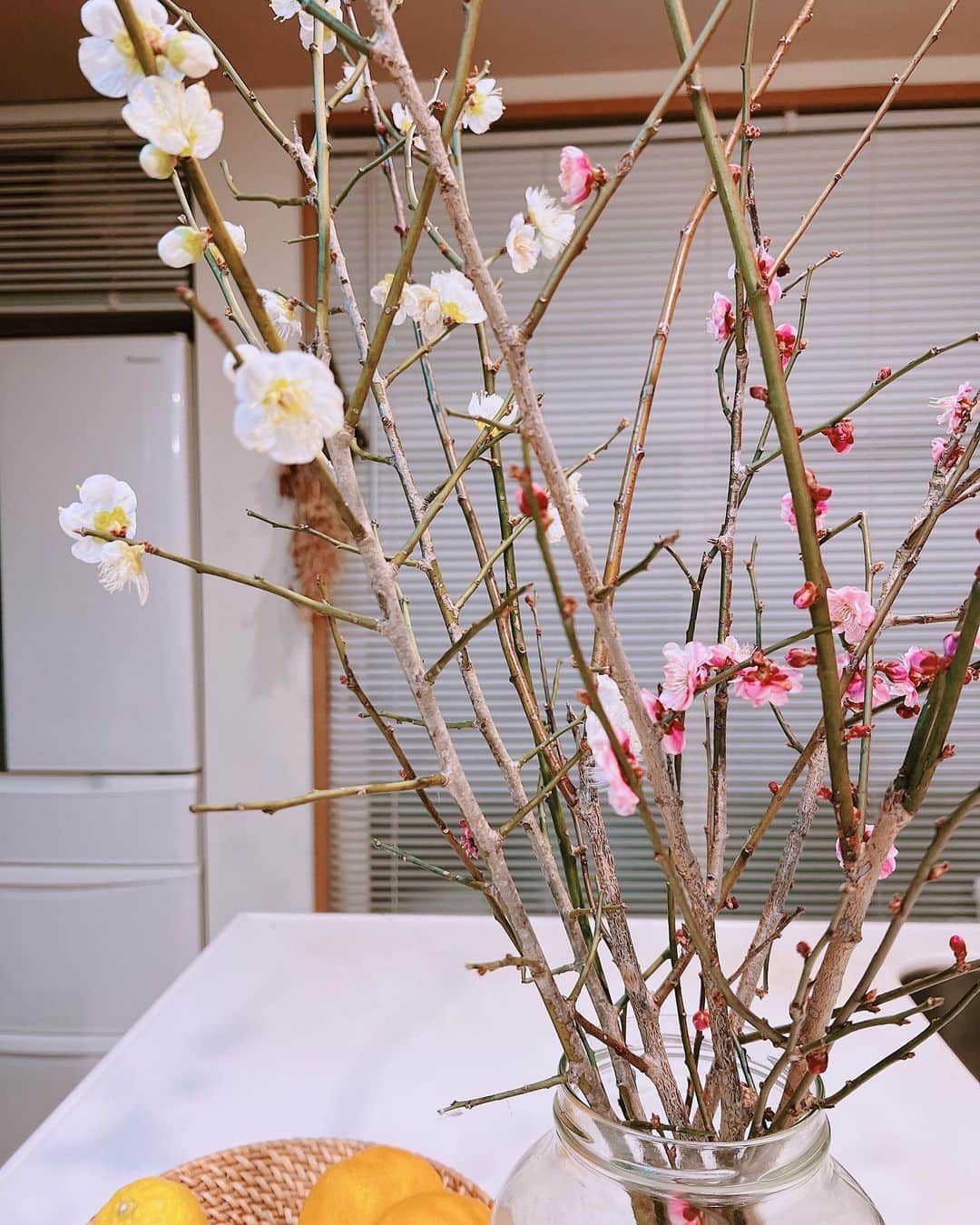 小林涼子さんのインスタグラム写真 - (小林涼子Instagram)「. 咲いた〜🌸 我が家にも春が近づいてきてます 🥰 さて、明日2月24日22時より フジテレビ系木曜劇場 『ゴシップ＃彼女が知りたい本当の○○』に出演します。 見ていただけたら嬉しいです😘 🌸 早朝ロケだからもう寝るよー 皆さま、おやすみなさーい 😪 #梅の花 #花のある暮らし #お花 #春 #ゴシップ」2月23日 22時50分 - ryoko_kobayashi_ryoko
