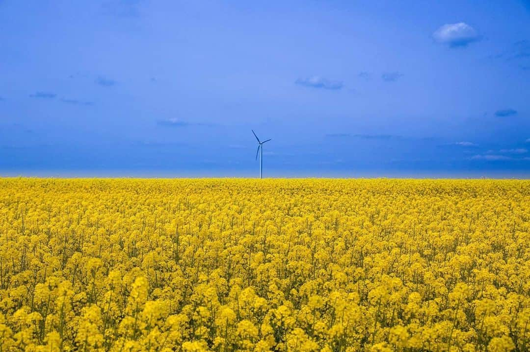 アルテム・クラヴェツのインスタグラム：「Я - Артем Кравець, український футболіст, народився в Дніпродзержинську ( сьогодні Кам‘янське), патріот та гравець національної збірної України з футболу⚽️. Можу сказати впевнено, що для мене завжди було великою честю та гордістю захищати жовто-блакитні кольори України 🇺🇦 на европейській футбольній арені. Емоції кожної гри за нашу збірну найбільш яскраві та незабутні за мою кар‘єру. Моє футбольне життя, крім рідного Динамо Київ, проходило у Німеччині, Іспанії та Туречинні, я мав честь грати проти різних збірних. Мої спогади - це завжди дружні відносини між іноземними гравцями, а це громадяни дуже багатьох країн світу! І головне, що нас об‘єднувало - це дружба та взаємоповага, завжди і до сьогоднішнього дня. Не існує якостей кращих за повагу, любов, мир та бажання світлого майбутнього один одному. Я хочу і вірю в світ без жодної війни, де кожна країна суверенна, незалежна і недоторкана. Я щиро вірю, що нашій владі вдастся врегулювати таку складну для нашої рідної країни ситуацію. Я спокійний за майбутнє нашої держави і життя своїх дітей дякуючи нашій армії. Але хочу, щоб ні один із українських захисників не втратив життя, ні один житель нашої МИРНОЇ ДРУЖНЬОЇ КРАЇНИ, адже кожне життя - безцінне. Україна єдина від Львова до Луганська, від Чернігова до Сімферополя. Україна хоче тільки миру,  НІ ВІЙНІ!🇺🇦」