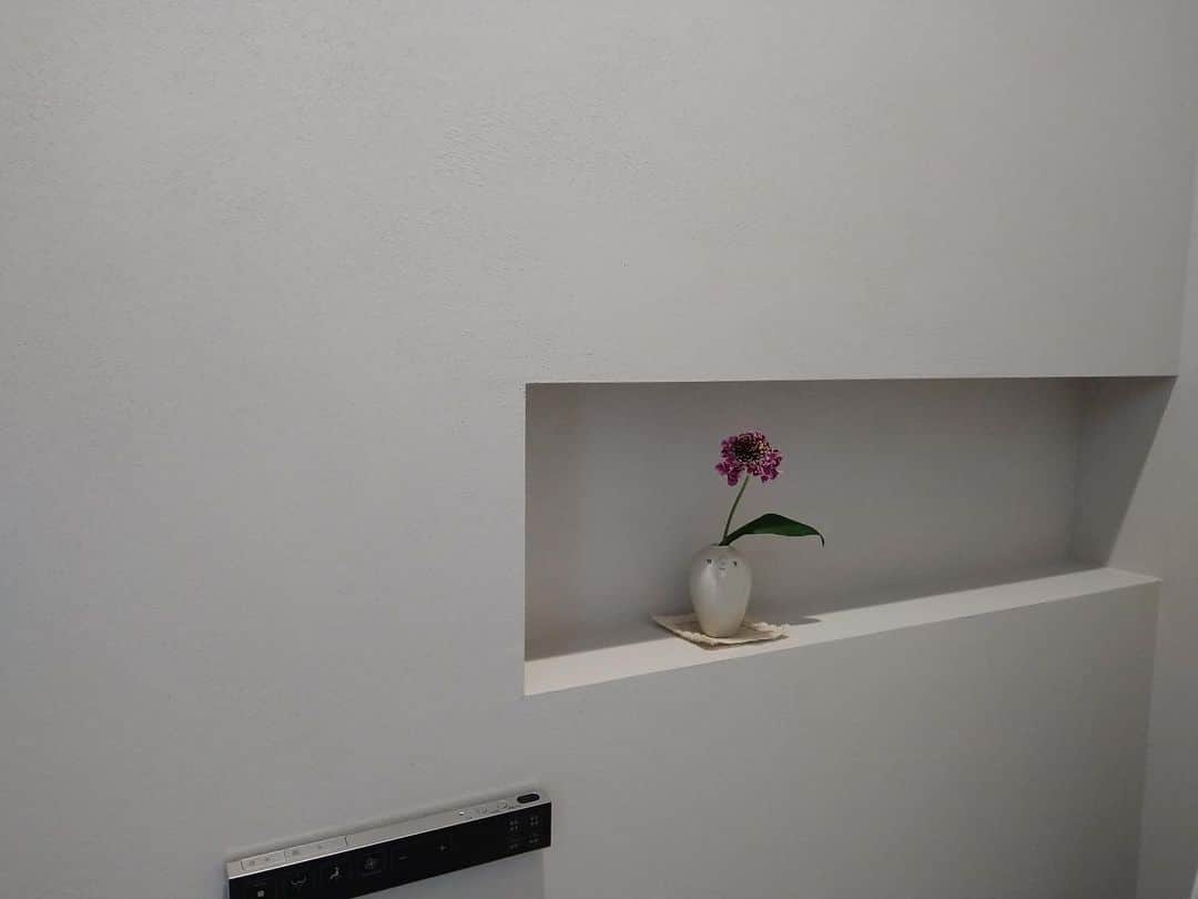ナカムラ建設さんのインスタグラム写真 - (ナカムラ建設Instagram)「見学会準備、、。  塗り壁のトイレ内  河野さんのFaceシリーズ。  素のままに  そのままに、、。」2月24日 20時20分 - nakamura_kensetsu