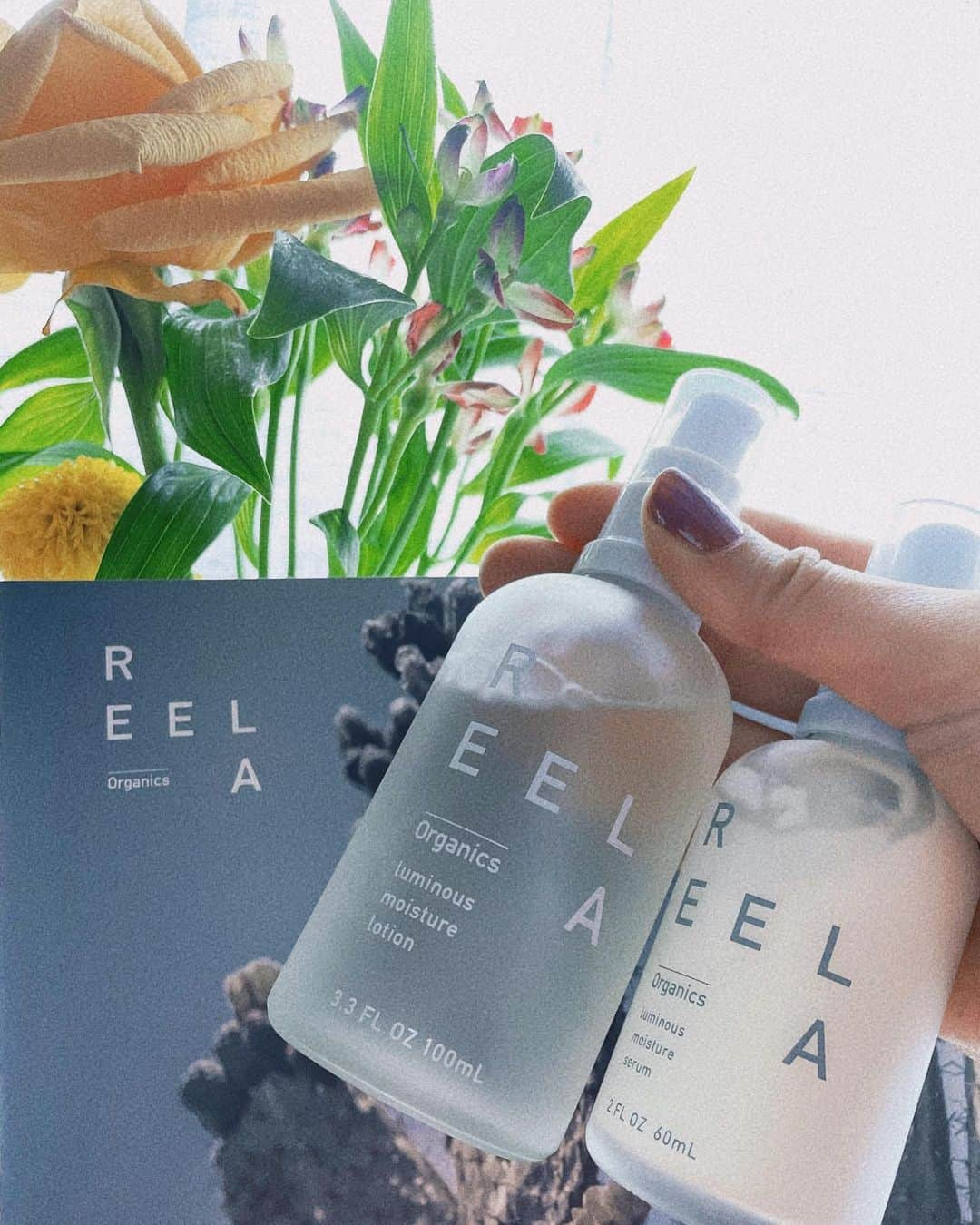 伊藤しほ乃のインスタグラム：「新しく使っているオーガニック化粧品 『REELA organic』の紹介です🤍🌿  特徴は、ウチワサボテンのオイルがたっぷり入ってること🌵✨  サボテン！？って思ったんだけど、 美肌やアンチエイジに大切なビタミンEが、オリーブオイルの13倍、アルガンオイルの1.6倍なんです☺️  あと、香りもわたしの大好きな爽やかな柑橘系でした☺︎  すでに結構人気で、  ♕オーガニックコスメランキングNo.1 ♕30代40代が選ぶ高保湿スキンケアNo.1  インスタのURLから、990円のキャンペーン中なので ぜひお試しを☺️💛  #reelaorganics #リーラオーガニックス #エイジングケア #ウチワサボテンオイル  #基礎化粧品 #化粧水 #美容乳液 #リーラオーガニックスのある暮らし」