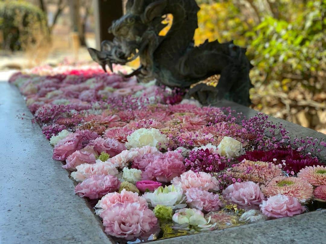 忍成修吾のインスタグラム：「そろそろ春ですね~。 梅が咲き始めていました。 花に囲まれカフェタイム☕️」