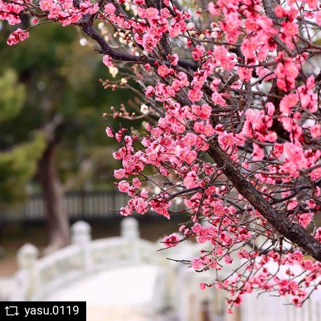 兵庫県のインスタグラム
