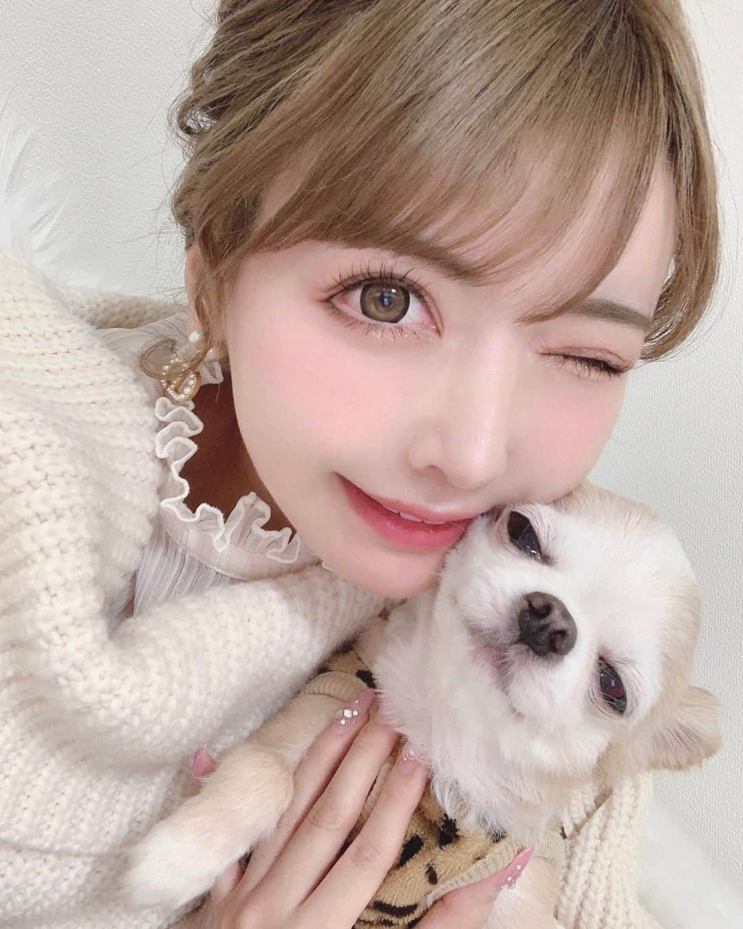 吉川ちかさんのインスタグラム写真 - (吉川ちかInstagram)「今日はぽんちゃんの 心臓のオペから一ヶ月！ 一ヶ月検診へ行ってきました🥺💓  検査結果は良好で 心臓の肥大も小さくなってたし 数字も良く絶好調でしたね✋💕  一ヶ月前は涙涙で辛かったし 精神的にも不安定でしたが 今は私も元気いっぱいになりました🥺💓  ぽんちゃんも私のために 大変なオペを乗り越えてくれて ありがとう！！ ぽんちゃんとこれから先 一緒に過ごせる時間が増えました👏💕 これからも元気でいてね☺️ ぽんちゃんだいすき。  #イッヌ#イッヌがいる生活#チワワ#心臓病 #僧帽弁閉鎖不全症#僧帽弁閉鎖不全症手術#jasmine動物循環器病センター」2月24日 17時37分 - yoshikawachika_1116