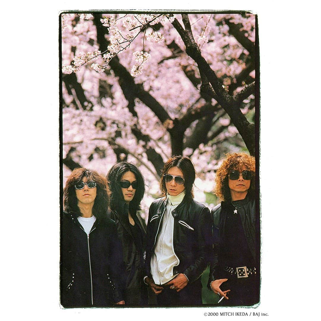 THE YELLOW MONKEYのインスタグラム：「デビュー30周年記念作品第二弾 「SPRING TOUR “NAKED”」好評予約受付中🌸 ・ 5/11(水)リリースとなるこの作品は、2004年のバンド解散前最後のツアーとなった「SPRING TOUR」の最終日、横浜アリーナ公演を完全収録したBlu-rayを含む4枚組の初回生産限定盤BOX。 初公開となるライブ映像6曲に加え、これまで発売された作品に収録された15曲も今回再編集を行い、一本のライブ作品に生まれ変わっています。 また、2000年5月に日本大学で行われたゲリラライブ全3曲も完全収録されるほか、インタビュー映像も含まれたツアー・ドキュメンタリー作品“オリジナル”「SPRING TOUR」のアップコンバート版、横浜アリーナ公演のライブ音源を収録したCD2枚も同梱。 ・ 横浜アリーナ公演のみを収録した通常盤Blu-rayも同時発売となります。 さらに、発売に先がけて、全国5会場での先行上映会も開催決定！✨ 各ショップでの特典も発表となっておりますので、ぜひプロフィールのリンクからお早めにチェックしてください🎶 ・ #THEYELLOWMONKEY #TYM30Years #吉井和哉 #菊地英昭 #廣瀬洋一 #菊地英二」