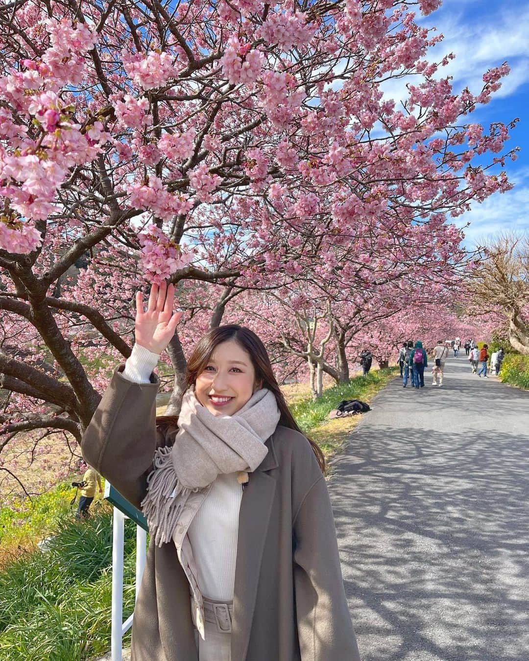 臼井佑奈さんのインスタグラム写真 - (臼井佑奈Instagram)「南伊豆の桜が見頃を迎えています🌸  一足早く春を感じてきました💭 夜のライトアップもとっても綺麗でした〜！ 明日の"every.しずおか"でお届けします！  3年ほど前に家族で行ったお気に入りスポットです😆😆😆  #南伊豆 #みなみのさくら」2月24日 19時16分 - yuna_usui