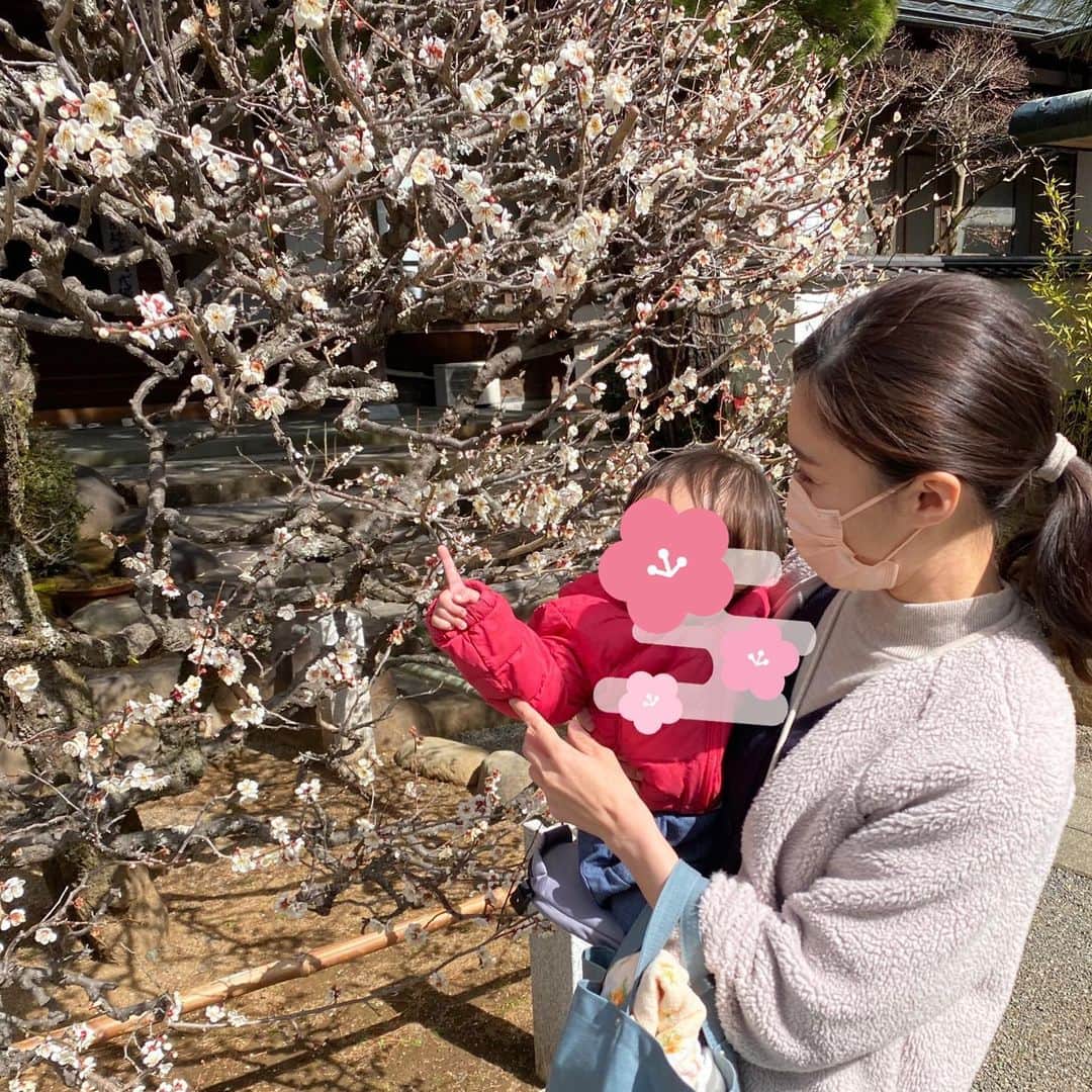 原口奈菜のインスタグラム：「「桜梅桃李」(おうばいとうり) 他人と比べることなく、各々が自分の個性を発揮しよう、という意味だそうです🌸 * 静岡も少しずつ暖かくなっています。 まずは、真っ先に春の訪れを教えてくれる梅の花にご挨拶☀️ 花粉にもご挨拶する日が近づいてきているような…」