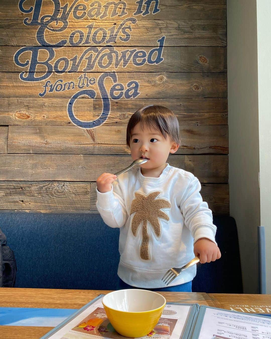阪本智子さんのインスタグラム写真 - (阪本智子Instagram)「🍽♡ 息子くんが、 一般的に離乳食を終了してもよいと言われている1歳半を過ぎたので🎉  お子様プレートデビューをしてみました💗  オーガニックにこだわるハワイアンカフェで🌈 フォー&ポテト&フルーツのお子様セット🌺  ナルトは塩分が多いのでママとパパで食べて、 ナゲットはママとパパが衣を食べ😅 ポテトは塩なしで注文しました❕  碧羽くんペロリでした😂🙏  お子様プレートに付いているドリンクは、リンゴとオレンジとミルクがあったのでミルクを選択🐮 普段飲み物はお水、お茶、牛乳、果物のみをスムージーにしたものしか与えていないので、ミルクがあると本当にありがたいなと思います😭✨  お昼はお外ごはんだったので、夜は塩分控えめなママごはんを食べてもらいましたよ👦🏻💗  たまにのお外ご飯はありだけど、 まだまだしばらくはママご飯だなぁ😊🍱  オーガニックや素材にこだわっているキッズプレートがあるお店沢山知りたいなー🥺🍽  #hawaiifood #eggbenedict #locomoco #kidsmenu #ハワイアンカフェ #ロコモコ #エッグベネディクト #キッズプレート #お子様ランチ #離乳食完了期 #おそとごはん #18ヶ月 #男の子ベビー #男の子ママ #阪本智子」2月25日 7時46分 - tomoko_sakamoto423