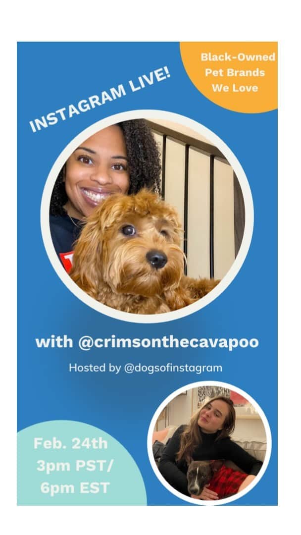 DogsOf Instagramのインスタグラム：「Tonight we recap our #blackhistorymonth IG Live Series  with our @greatpetofficial expert, @crimsonthecavapoo 🎉 We absolutely loved highlighting a few of our favorite black-owned pet brands and getting to interview @avaspetpalace, @trillpaws, and @housedogge was a real TREAT! We hope you had as much fun as we did. 🎊  Thanks to everyone who tuned in ❤️Check out link in bio for more black-owned pet businesses we love!  Stay tuned for more IG Live series with inspiring brands coming soon!」
