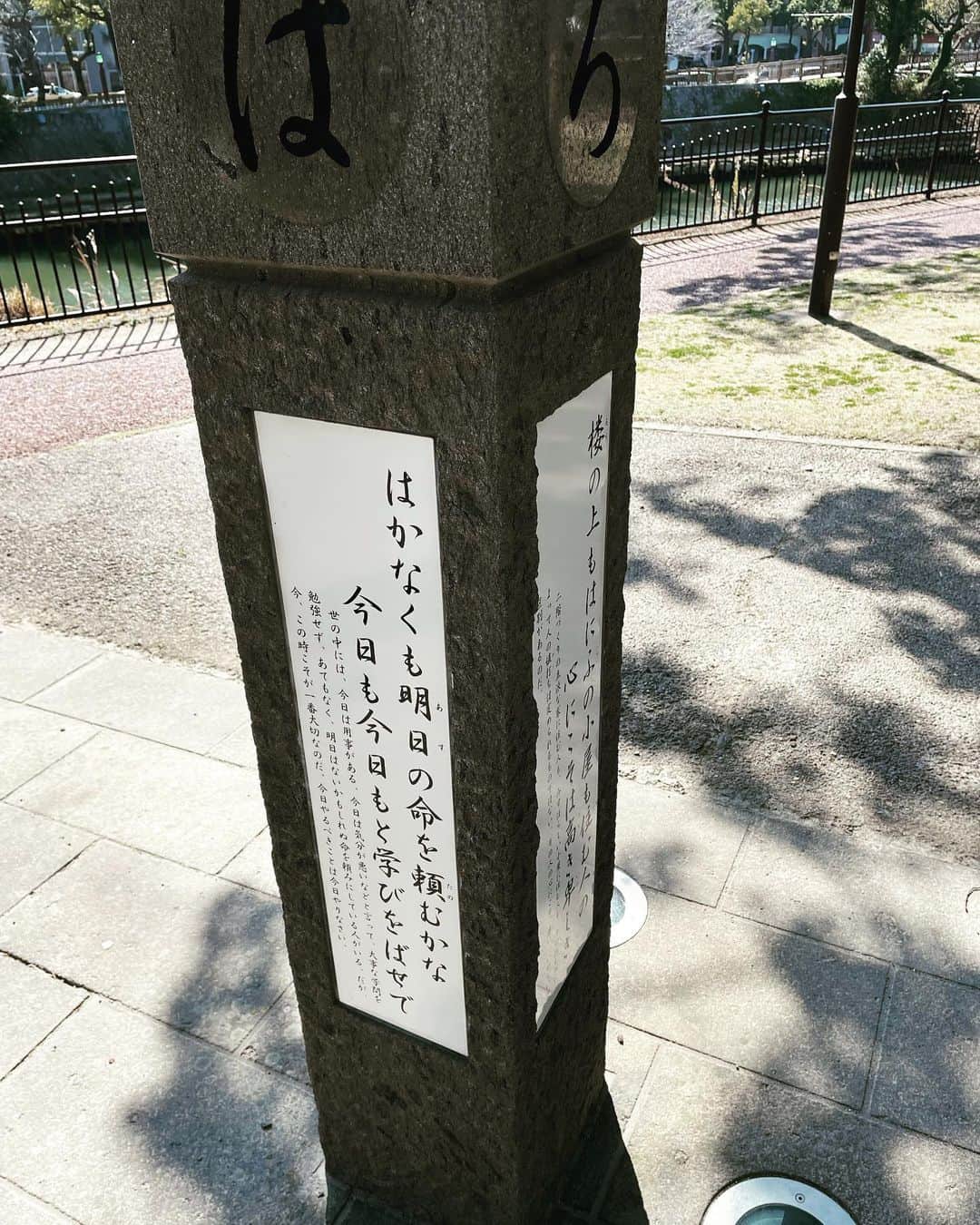 クニヨシTVさんのインスタグラム写真 - (クニヨシTVInstagram)「桜島が雄大。  #桜島 #西郷隆盛 #西郷隆盛の孫は野球部で豪快なフォームらしい #次回はミラノ・コルティナダンペッツォ五輪 #トリプルコーク1440かぁ #スケボーとスノーパイプ始めようかな #栃木ゴールデンブレーブスの成瀬投手がツイッター開始」2月25日 9時35分 - 92kantoku.appare