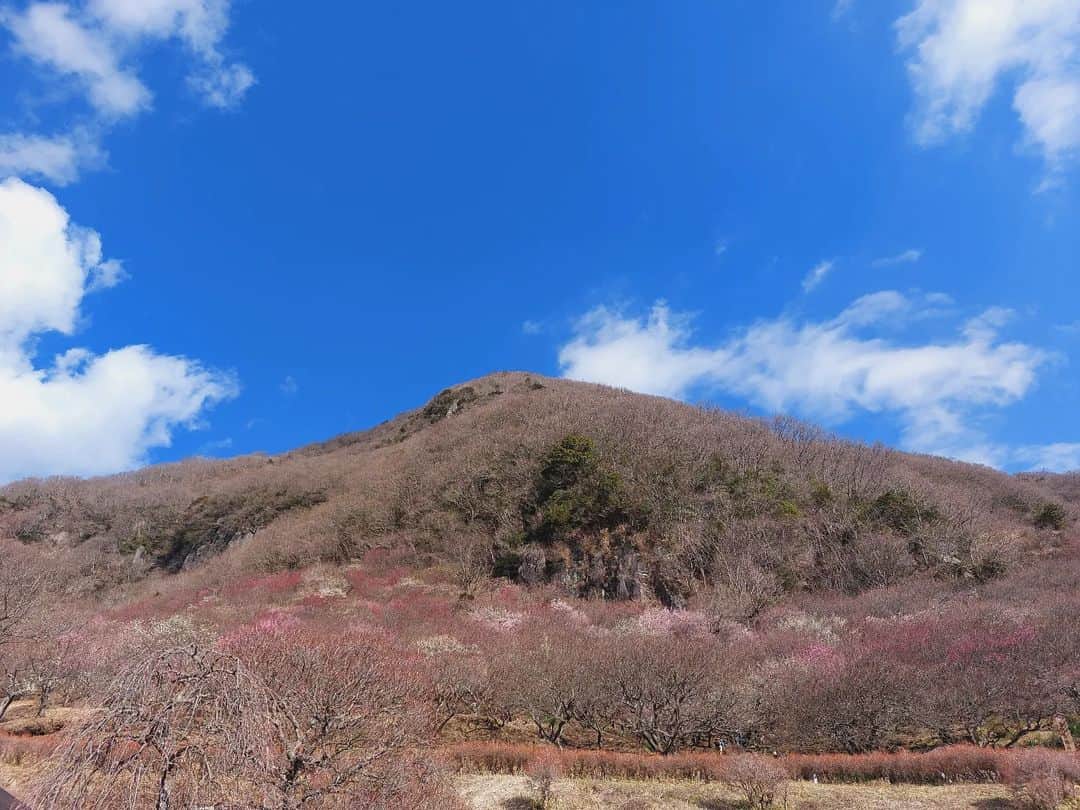 岩山立子のインスタグラム