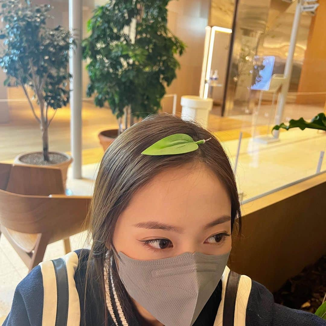 クリスタルさんのインスタグラム写真 - (クリスタルInstagram)「치코리타🌱」2月25日 12時52分 - vousmevoyez