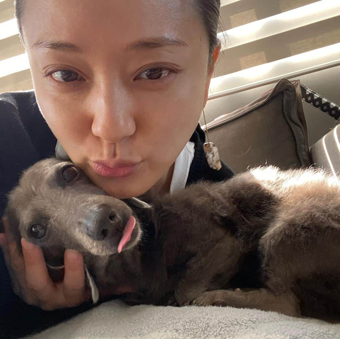 中越典子さんのインスタグラム写真 - (中越典子Instagram)「キスキスshot🤣  ペロ子なうちの子🐶 たまらん！かわいいわぁ  #lovedog #yvette #stein」2月25日 13時46分 - nakagoshi_noriko.official