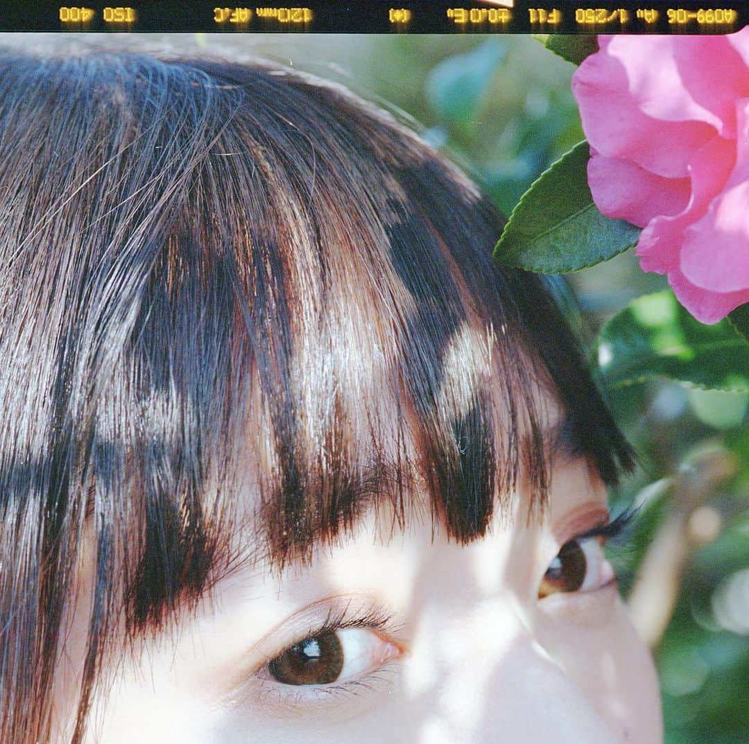 masayuki nittaさんのインスタグラム写真 - (masayuki nittaInstagram)2月25日 19時14分 - masayuki_nitta