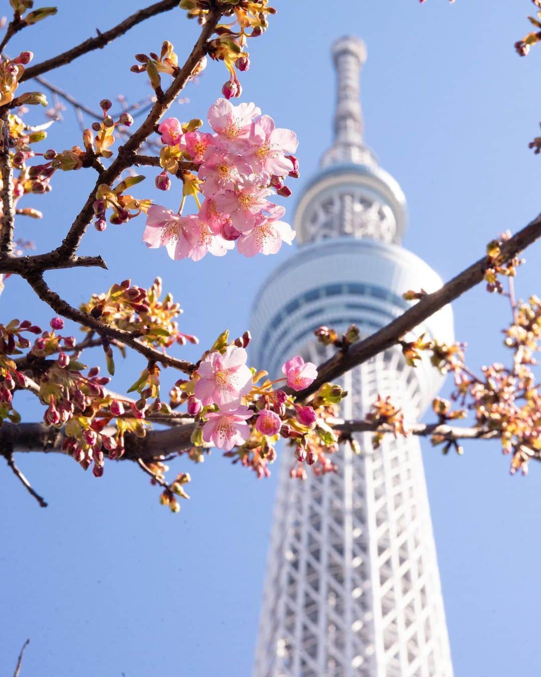 kazumaのインスタグラム