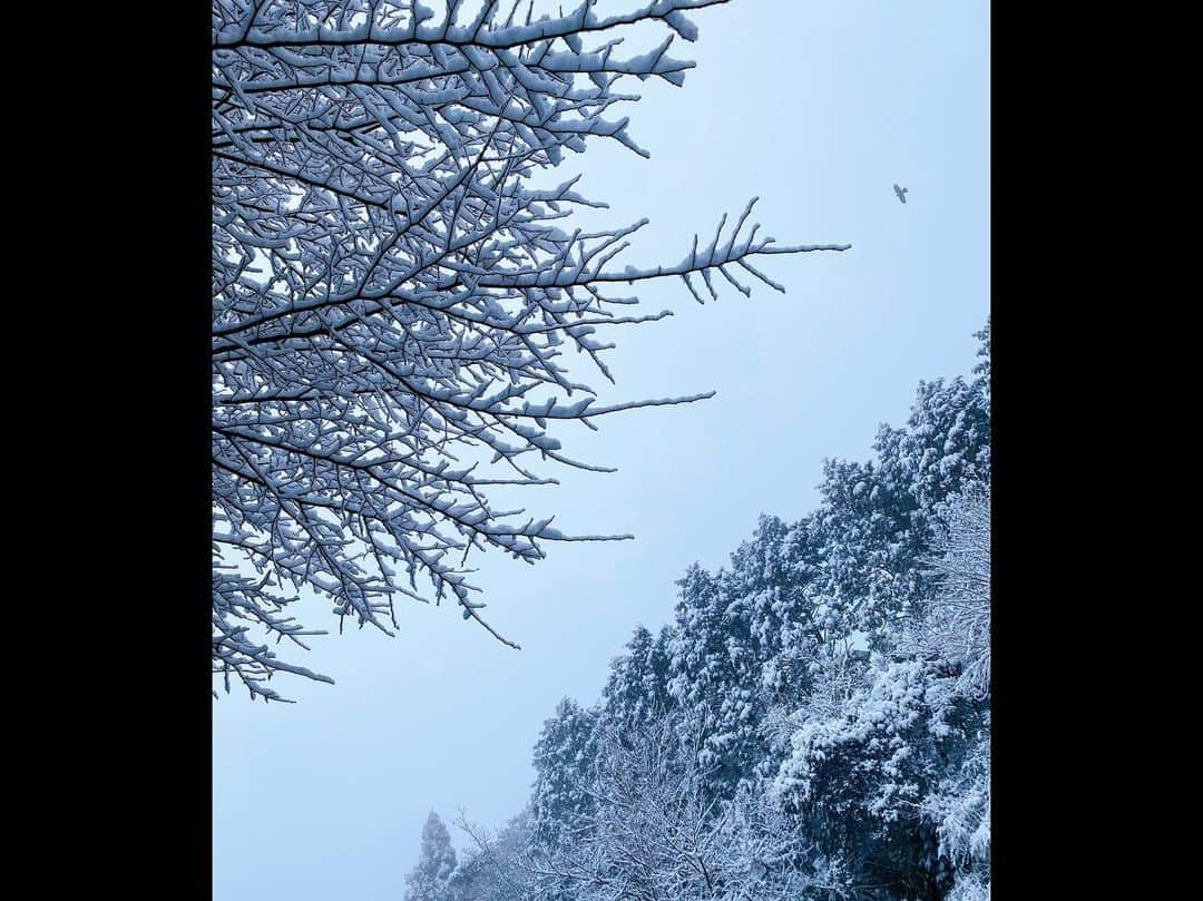 小野寺結衣さんのインスタグラム写真 - (小野寺結衣Instagram)「・ ⁡ 先週の中継先 箱根にて☃️❄️ ⁡ ⁡ ⁡ 5:30 の強羅駅 ⁡ 7:30 の箱根街道 ⁡ 8:30 の芦ノ湖 ⁡ ⁡ 明け方のまだ真っ暗な中、 屋根にうっすら雪を積らせた強羅駅の 赤い電車がなんだか美しかった☺︎🚃 ⁡ ⁡ ⁡ それにしても寒いのが心の底から苦手なので 冬がとてつもなく長く感じますー....😶‍🌫️ ⁡ ポカポカ陽気の毎日が待ち遠しいです。 ⁡ ⁡ ⁡ ⁡ ⁡ ⁡ ⁡ #箱根 #強羅 #箱根街道 #芦ノ湖 #雪景色 #🇯🇵 #❄️ #足の裏の感覚がなくなりました #5枚目の写真の鳥がお気に入り🕊 #良き週末を ...ᵕ̈*」2月25日 22時09分 - yui_onodera0831