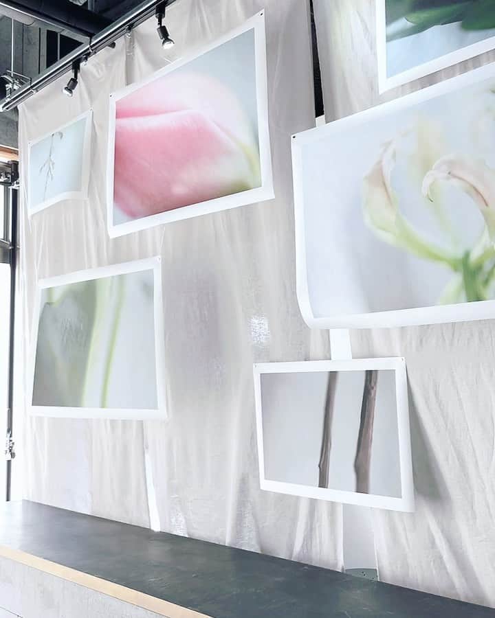 小野寺皐のグルメインスタ