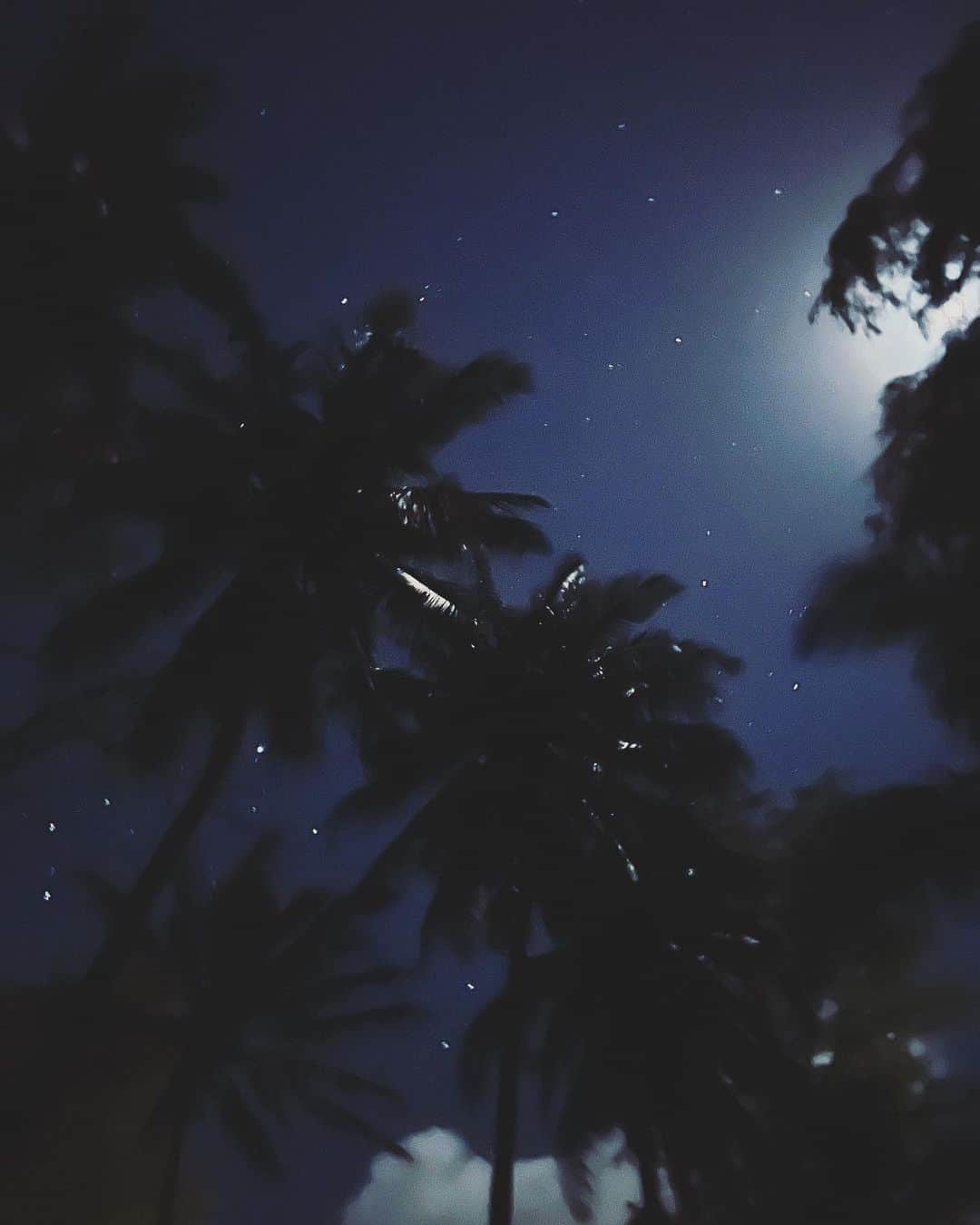 Mieのインスタグラム：「ノースショアの街頭一つないキャンプ場にて昨晩は星が綺麗に眩く光っていました😌 自然の中に身を置くと、人の幸せとは実はすごく身近でシンプルなんだって😌💕  世界情勢がぐらつく中で様々な情報があり、どれが正しく、どの情報が作り上げられたプロパガンダなのかも正直わかりません。 ただ、命は大切だということ。 世の中が暴力ではなく愛で溢れてほしくて、微力であっても自分が負担にならない程度でいいから助け合う、声をかける、手をさしのべるという事をしていけたらと思います😌✨ 知らない人にはなかなか出来ないけど、個人レベルで身近な家族、恋人、友人、知り合いに優しい言葉をかけたり思いやりを持って接したり。  そして、個人レベルではできない支援に関して、紗栄子ちゃんが発足させた @_thinktheday が現在ウクライナから避難を余儀なくされた方々に対し、直接現地で援助活動してくださってる団体名を開示してくれました。 そして集まった寄付金がその援助活動をしてくださっている団体の助けになると知り微力ではありますが、寄付させていただきました🙏  愛が好きです🥺🙏💕  #love #311 #loveiskind」