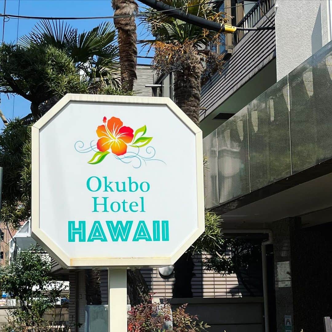 水野しずのインスタグラム：「この程度のハワイが好きです🌴🍹🌺」
