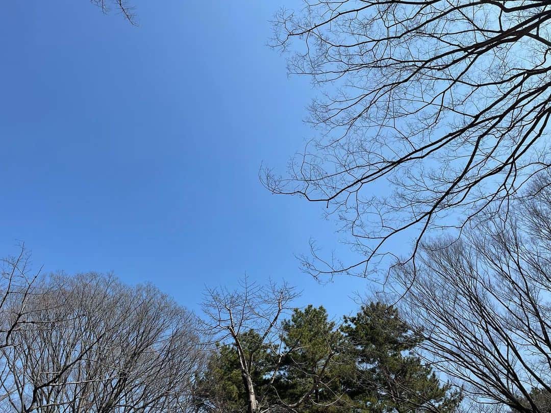 塩田真弓さんのインスタグラム写真 塩田真弓instagram この空はつながっている
