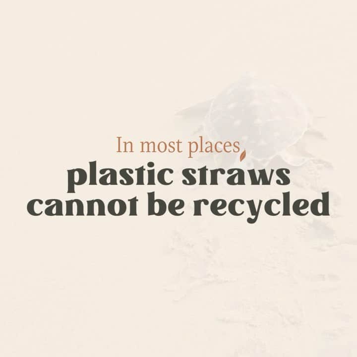 ダニエラ・モネのインスタグラム：「In case you haven't already...⁠ ⁠ ... The time to ditch plastic straws is NOW. Like, right now. ⁠ ⁠ Most plastic straws are actually made from polypropylene, which isn't accepted by many recycling centers. And if it is, they're usually missed along the conveyer belt. 😢⁠ ⁠ What's more? Many straws end up in our oceans, polluting ecosystems and getting stuck in the noses of your favorite animals 🐢⁠ ⁠ Though today might be Skip the Straw Day, it doesn't have to be observed just one day out of the year. Make the switch for good by checking out a few straw alternatives from...⁠ ⁠ 🤍 @publicgoods⁠ 🤍 @finalstraw⁠ 🤍 @kleankanteen⁠ 🤍 @gosili⁠ 🤍 @pastalife_」